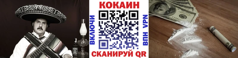 Cocaine FishScale  купить наркоту  Рубцовск 