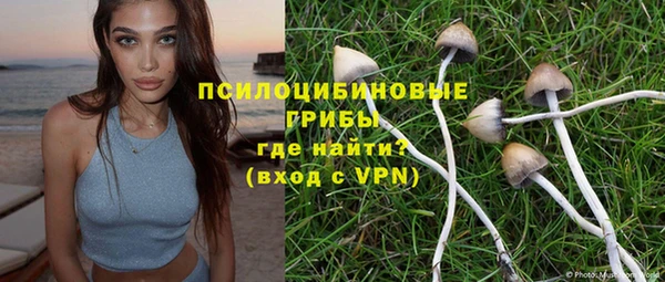 mdpv Майский