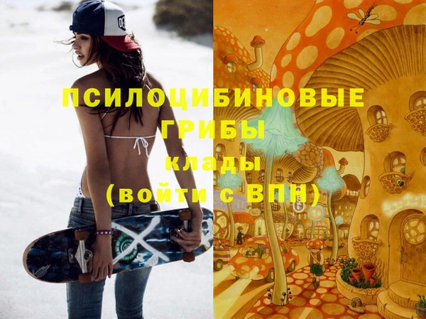 гашик Новосибирск