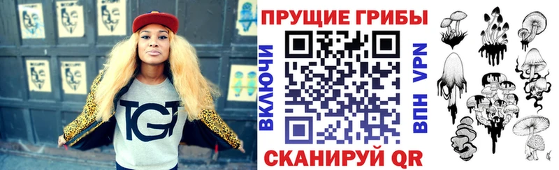 сколько стоит  Рубцовск  KRAKEN ONION  Псилоцибиновые грибы Psilocybe 
