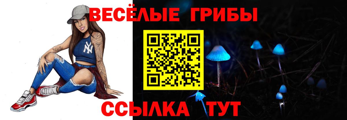 Галлюциногенные грибы Psilocybe  где купить наркоту  Рубцовск  Вход с VPN 